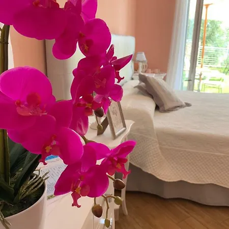 La Pietra 1 E La Pietra 2 *